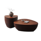 Irregular Shape Nesting Coffee Table