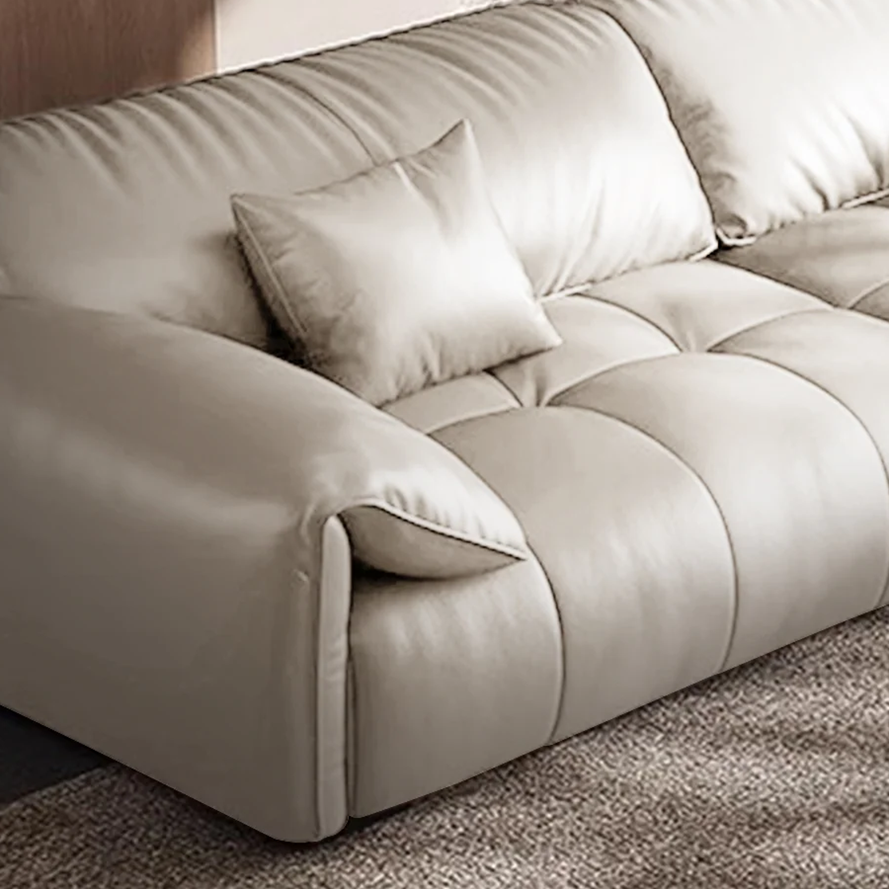 Anorea Contemporary Minimalist Sofa