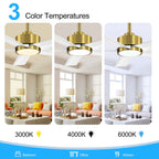 Ventilateur de plafond LED Breezary 65/52/42 à 5 pales avec kit d'éclairage et télécommande