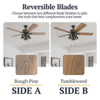 Ventilateur de plafond LED Prominence Home Sivan Bronze Farmhouse avec éclairage et télécommande