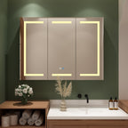 Armoire à pharmacie de salle de bain avec miroir LED antibuée 6 000 K, armoire murale blanche