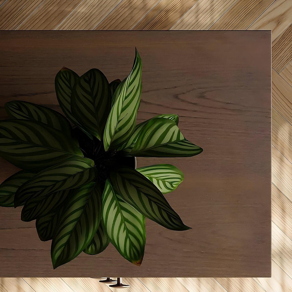 Arden Dark Walnut Woven Sideboard Cabinet