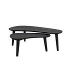 Ensemble de table basse Wilder